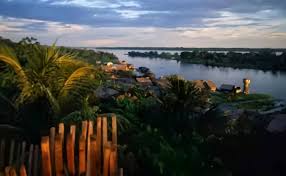 Búfalos do Marajó