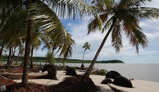 Ilha do Marajó