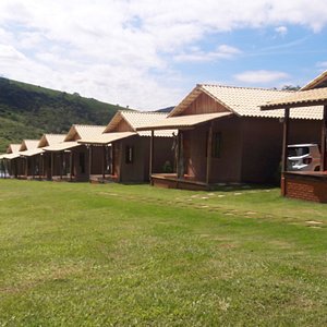 Búfalos