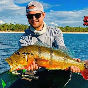 Pesca